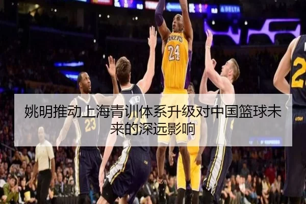 姚明推动上海青训体系升级对中国篮球未来的深远影响
